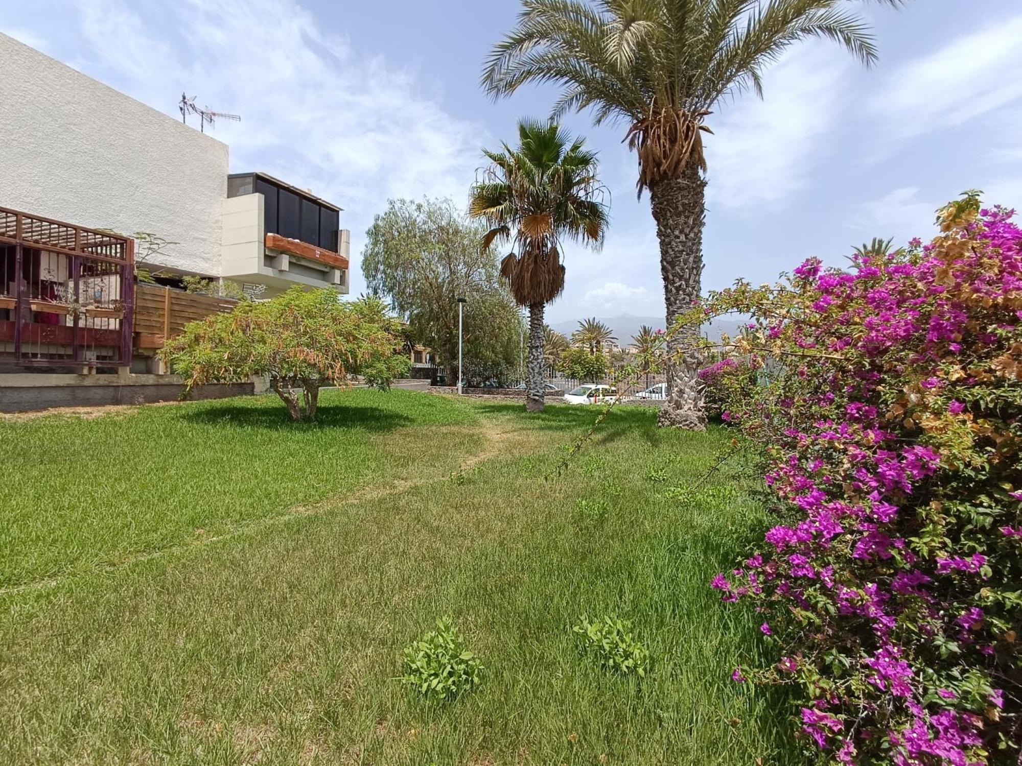 Apartment Tenerife South Coast Коста-дель-Силенцио Экстерьер фото